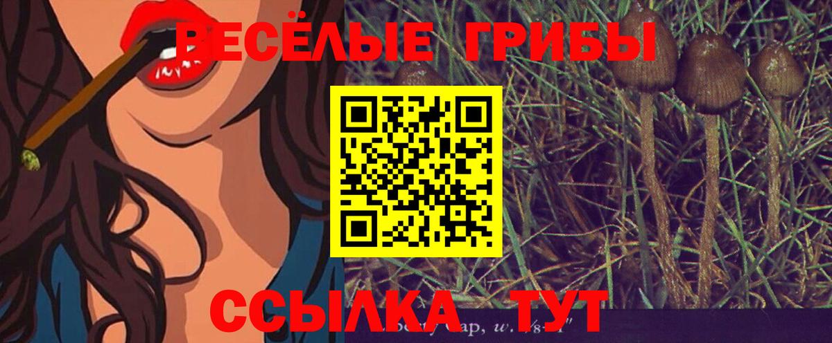 Галлюциногенные грибы мухоморы  Вход с VPN  Курчатов 